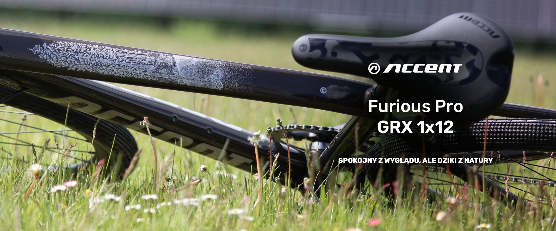 2026 Accent Furious Pro GRX 1x12 gravel racing bike